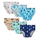 Winging Day Little Boys' Cotton Brief Soft Underwear Multipack
