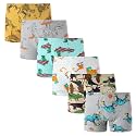 Winging Day Little Boys' Cotton Brief Soft Underwear Multipack