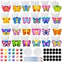 WinnerWhy 24 Sets Butterfly Ceramic Painting Kit Make Your Own Butterfly