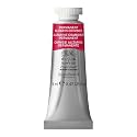 Winsor amp Newton Artists39 Water Colour Paint