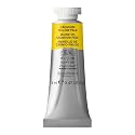Winsor amp Newton Artists39 Water Colour Paint