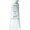 Winsor &amp; Newton Designers Gouache 14 ML - Silver (617), Finely Pigmented, Vibrant, Vivid &amp; Opaque Matt Colours, Ideal for Designer's, Illustrators &amp; Commercial Artist - More Colours Available