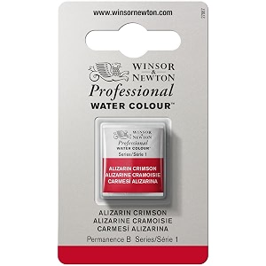 Winsor Newton Professional Water Color with