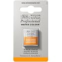 Winsor amp Newton Professional Water Color with
