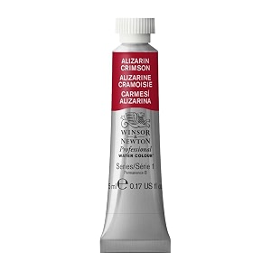 Winsor Newton Professional Water Colour 5