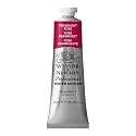 Winsor amp Newton Professional Water Colour 37