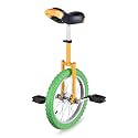 WinSpin 16" Inch Wheel Unicycle Leakproof Butyl Tire Wheel Cycling Outdoor