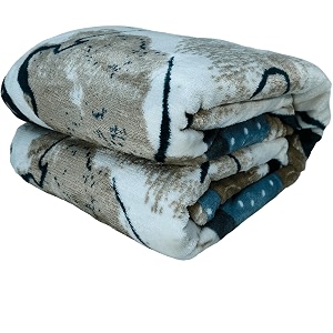 Winter Premium Flannel Velvet Warm Duvet Cover