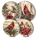 Winter Red Birds Electric Stove Burner Covers,4 Pcs Rustic Christmas Round Stove Burner Covers，Flowers Gas Stove Burner Cover,8 Inch and 10 Inch Farmhouse Style Metal Cooktop Home Decorative