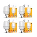 wipro Garnet 30w LED High Wattage Bulb