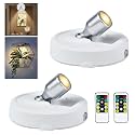 RAHAN Wireless LED Spotlight, Battery Powered Picture Lights, Uplighting Indoor, Tree Spotlight with Remote, Stick Spot Light for Wall Art Display Dartboard Painting Artwork Accent Closet, 2Pack