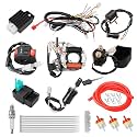 Wiring Harness Kit Stator CDI Box Ignition Coil Voltage Regulator Rectifier for 50cc 110cc 125cc Tao Tao Coolster Apollo Kazuma Sunl Chinese ATV Quad Kids Four Wheeler 4 Stroke Engine Parts