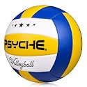Wisdom Leaves Beach Volleyball Soft Touch Volleyball