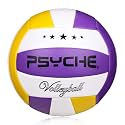 Wisdom Leaves Beach Volleyball Soft Touch Volleyball
