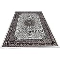 Wish Carpet Kashmiri Persian Design Extra Look Carpet for Living Room, Bedroom and for Hall Size 6 X 9 Feet (Color-Multi)
