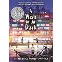 A Wish in the Dark