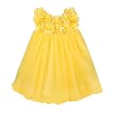Wish Karo Baby Girl39s A-Line Knee Length