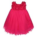 Wish Karo Baby Girl39s A-Line Knee Length