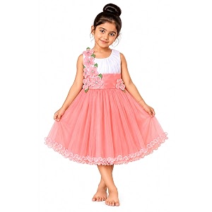 Wish Karo Baby girl Knee Length Frock