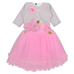 Wish Karo Baby girl Knee Length Frock