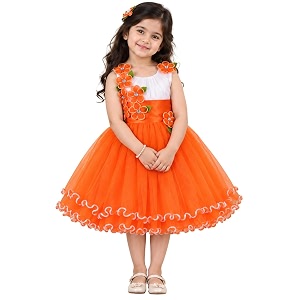 Wish Karo Baby girl Knee Length Frock