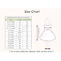 Wish Karo Baby Girls Dress Frock-fe2803