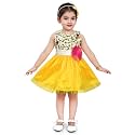 Wish Karo Baby Girls Frock Dress -fe2915