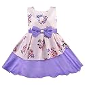 Wish Karo Baby Girls Satin Frock Dress-fe2803