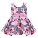 Wish Karo Girls Frocks Dress for Baby
