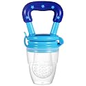 WISHLAND™ Silicone Baby Infant Fruit Feeder Dummy Pacifier Newborn Nipple (Multicolour, Pack of 1)