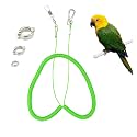 Wishlotus Parrot Flying Rope, 5 Meters Parrot Foot Chain Flying Training Leash Outdoor，Anti-Bite Elastic String Training Harness for Agapornis Fischeri Cockatiels Starling Birds (Green)