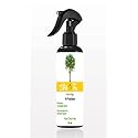 Citrus Tree Home Air Freshener Spray (200 ml) - Best Refreshing Spray for Home &amp; Office –King of Fresheners