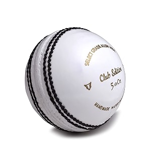 wolfer t20 club edition leather cricket ball - pack of one white