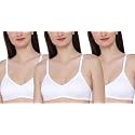 Women's Cotton Non Padded Non-Wired T-Shirt Bra