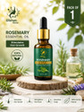women natural Rosemary Essential Oil 100 Premium