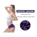 Womens Premium Seamless Hipster Underwear Ice Silk