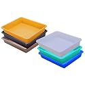 Wonder Homeware Exel Small Tray Heavy Quality, Set of 6 Pcs, 2 LTR, Blue Yellow Color (White Green Blue Yellow Brown Choco)