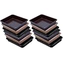 Wonder Homeware Exel Small Tray Heavy Quality, for Home&amp;Storage/Organization, Set of 12 Pcs Tray 2 LTR (Brown Choco Black)