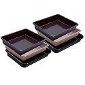 Wonder Homeware Exel Small Tray Heavy Quality, Set of 6 Pcs, 2 LTR, Blue Yellow Color (Brown Choco Black)