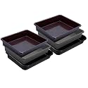Wonder Homeware Exel Small Tray Heavy Quality, Set of 6 Pcs, 2 LTR, Blue Yellow Color (Brown Grey Black)