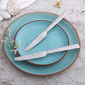 wonderchef roma dinner knife set of 2