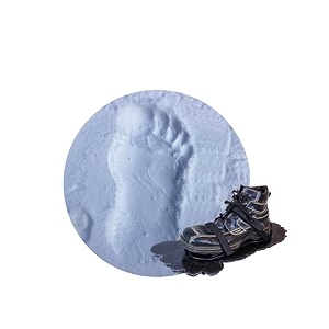 bigfoot