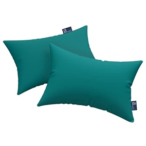 the wood white premium microfiber soft pillow set of 2 16 x 24 inches or 41 x 61 cm sleep better with teal pillows