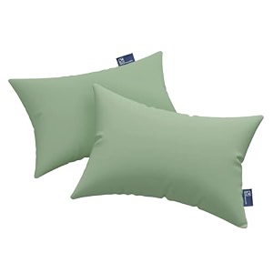 the wood white premium microfiber soft pillow set of 2 16 x 24 inches or 41 x 61 cm sleep better with light green pillows