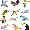 12 Piece Mini World of Birds Toys Set | Dinosaur Kingdom Figures Set for Kids, Medium Size, Assorted Animal Figures, Non-Toxic | PoPo Toys®