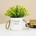 Wooden Street Artificial Flower with Ceramic Pot for Home &amp; Office | Artificial Plant for Coffee Table or Shelf | Realistic Faux Plant with Modern Pot Design | Yellow &amp; White (9 Cm)