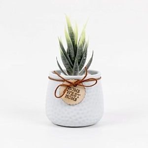 wooden street bloomify artificial flower with pot for home amp office  maintenance-free decorative plant for living room bedroom or tabletop  ceramic artificial faux decor  light blue