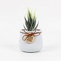 Wooden Street Bloomify Artificial Flower with Pot for Home &amp; Office | Maintenance-Free Decorative Plant for Living Room, Bedroom or Tabletop | Ceramic Artificial Faux Decor | Light Blue
