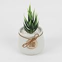 Wooden Street Bloomify Artificial Flower Pot for Home &amp; Office | Maintenance-Free Decorative Plant for Living Room, Bedroom or Tabletop | Ceramic Artificial Faux Decor | Light Green