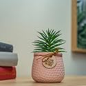 Wooden Street Bloomify Artificial Flower with Pot for Home & Office | Maintenance-Free Decorative Plant for Living Room, Bedroom or Tabletop | Ceramic Artificial Faux Decor | Light Pink